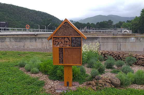 Ir a la noticia Lanzamos el programa BiObserva ‘STOP-invasoras’ destinado al control de especies invasoras en las instalaciones del ciclo del agua