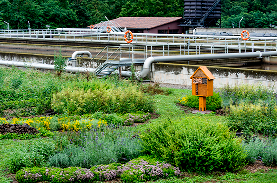 Ir a la noticia Objetivo para la próxima década: preservar los ecosistemas