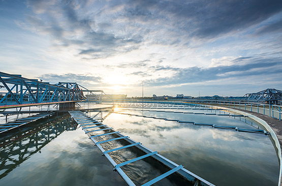 Ir a la noticia Día Mundial del Saneamiento