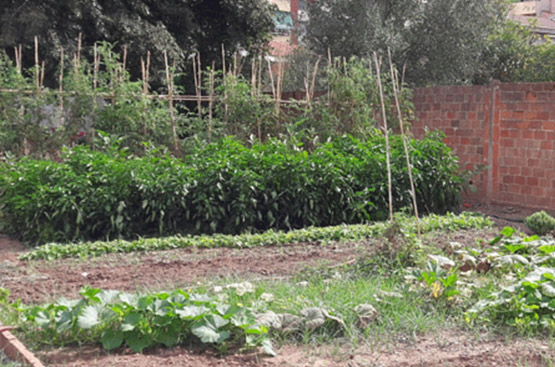 Ir a la noticia SOREA asume el recibo del agua de dos huertos urbanos en Granollers